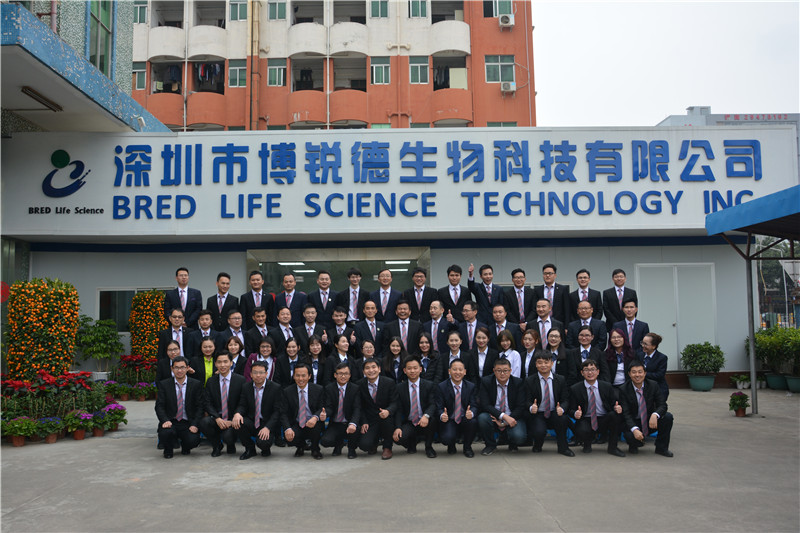 开云体云app官网入口