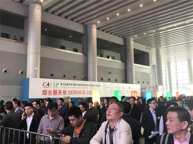 开云体云app官网入口