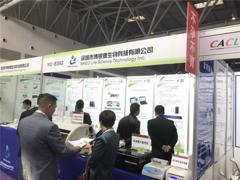 开云体云app官网入口