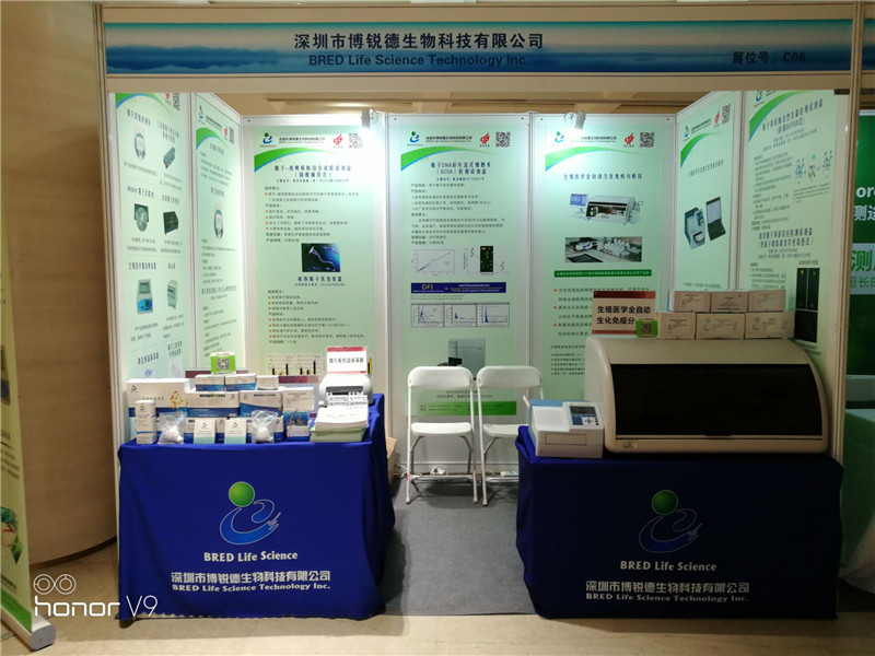 开云体云app官网入口