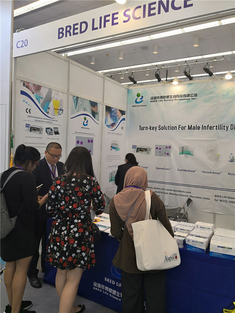 开云体云app官网入口