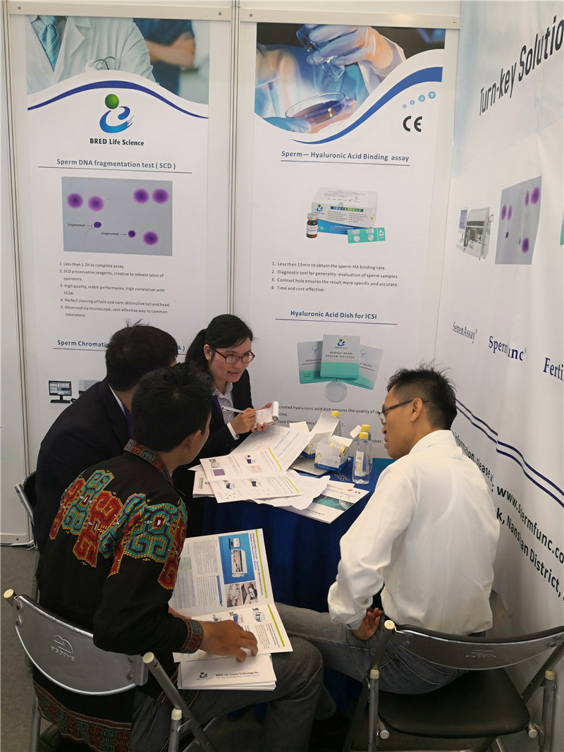 开云体云app官网入口