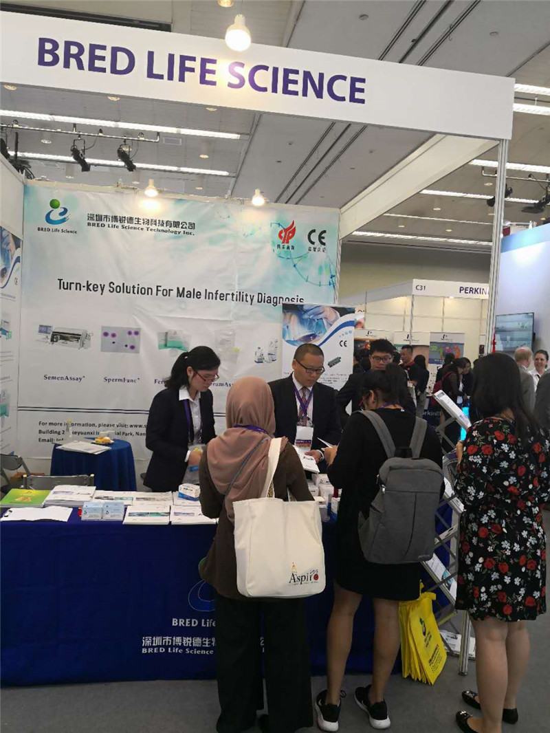 开云体云app官网入口