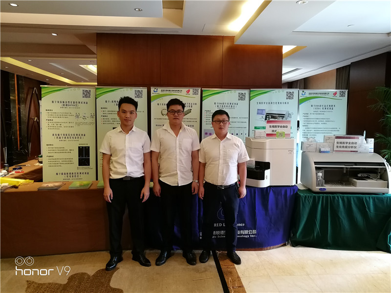 开云体云app官网入口