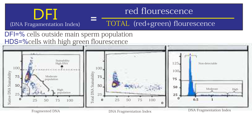 开云体云app官网入口