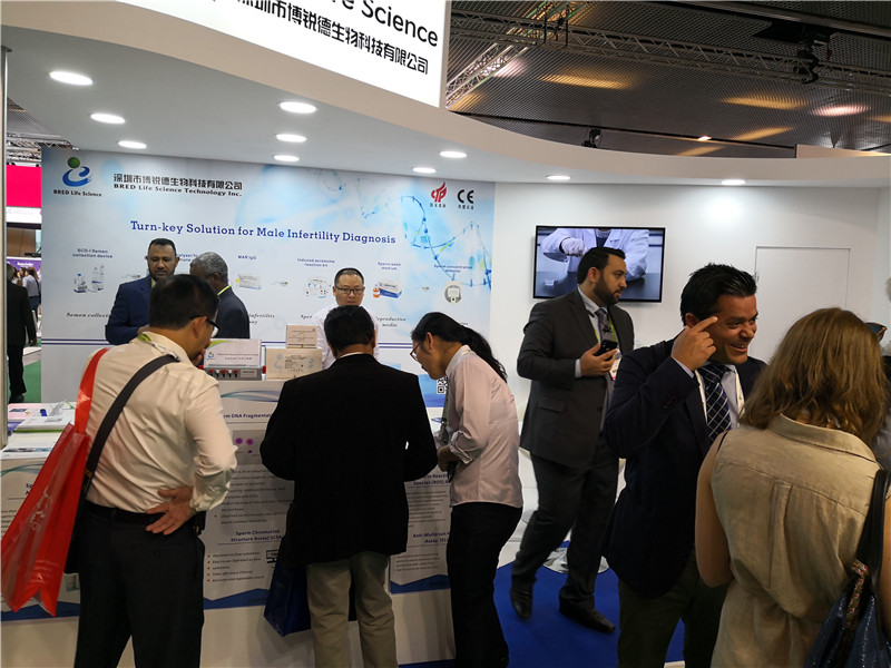 开云体云app官网入口