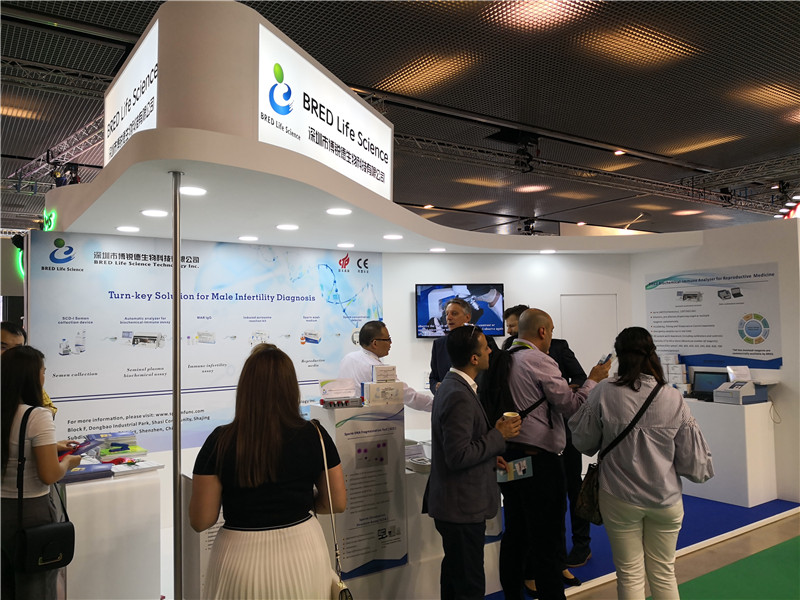 开云体云app官网入口