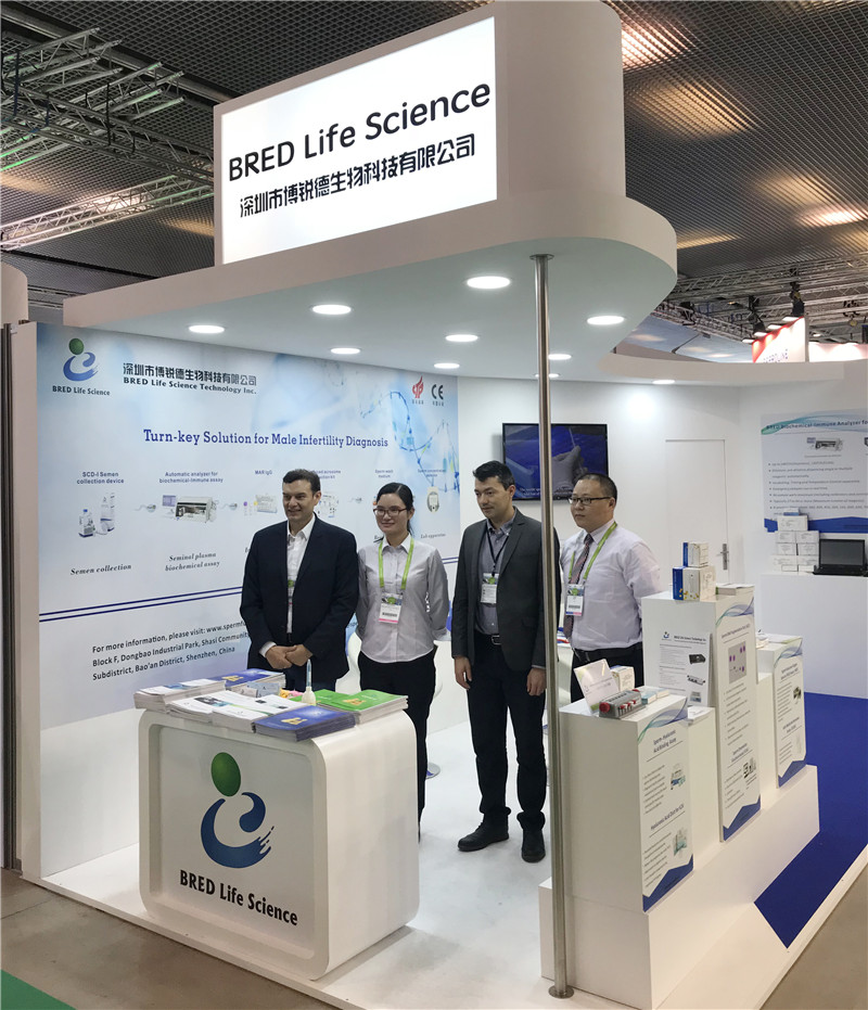 开云体云app官网入口