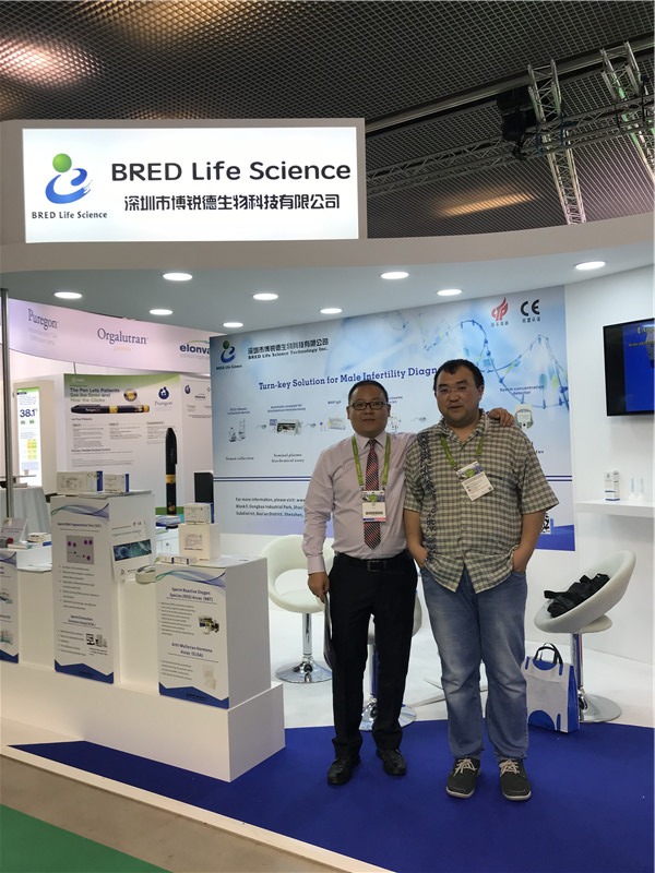 开云体云app官网入口