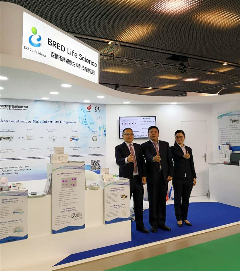 开云体云app官网入口