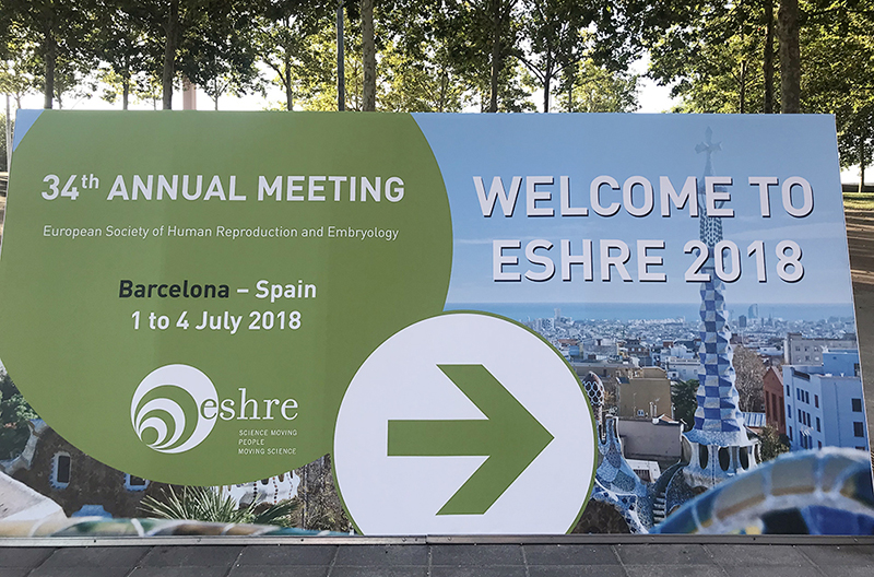 开云体云app官网入口