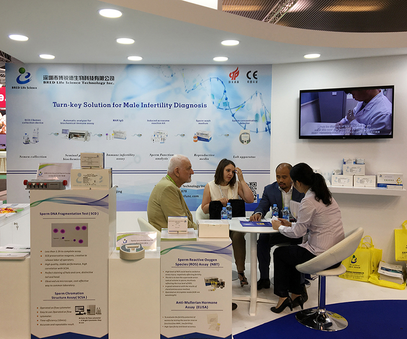 开云体云app官网入口