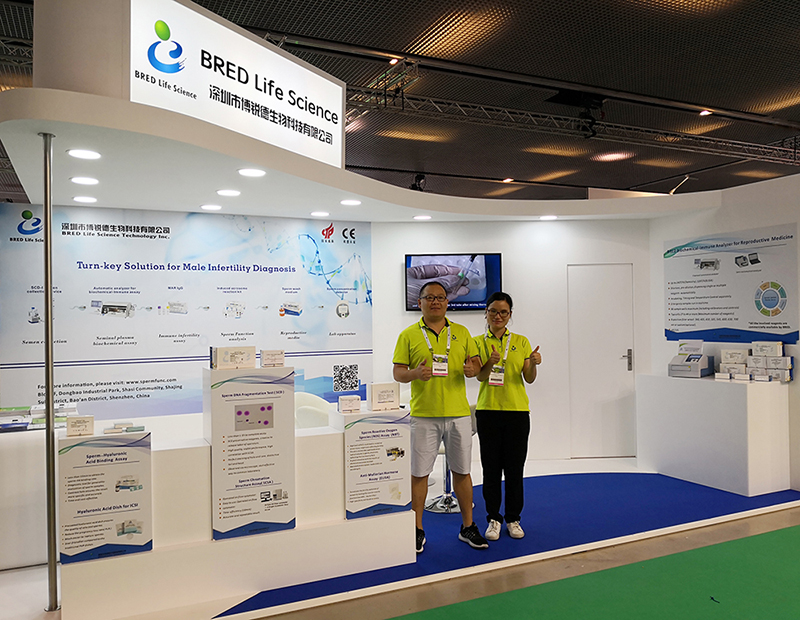 开云体云app官网入口