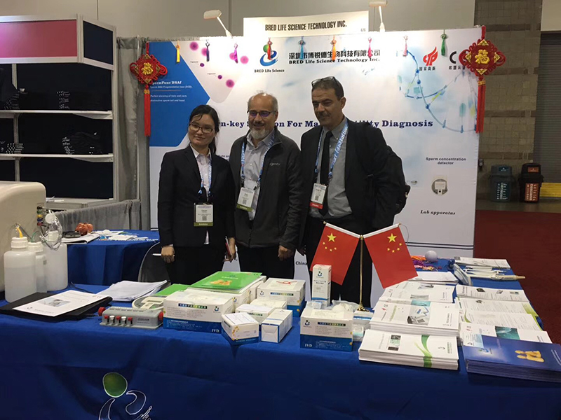 开云体云app官网入口