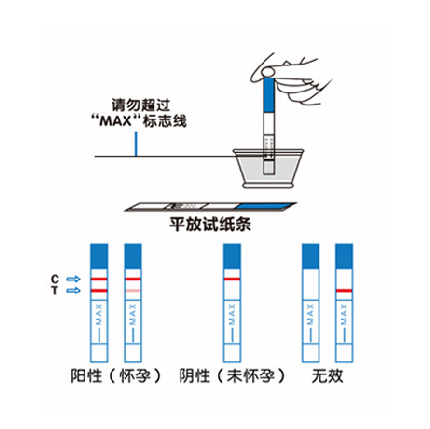 开云体云app官网入口