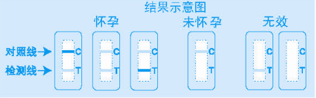 开云体云app官网入口