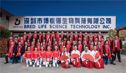 开云体云app官网入口