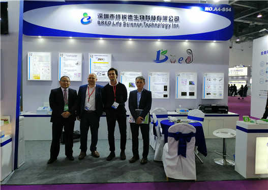 开云体云app官网入口