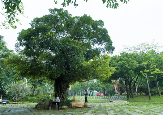 开云体云app官网入口