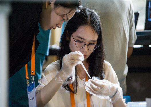 开云体云app官网入口