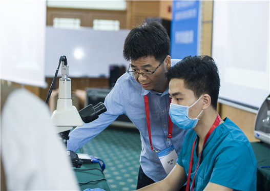 开云体云app官网入口