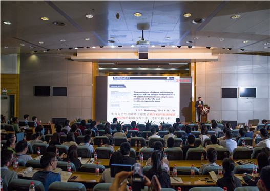 开云体云app官网入口