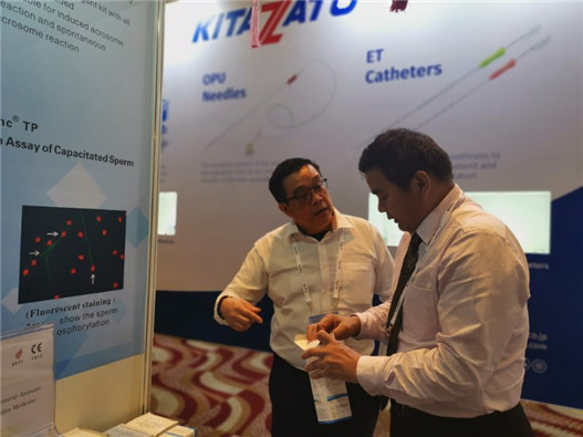 开云体云app官网入口