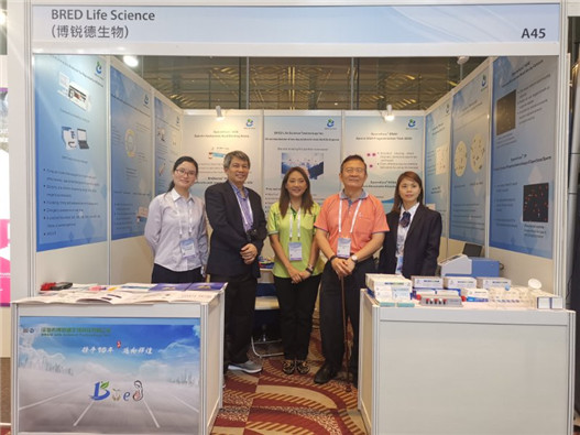 开云体云app官网入口