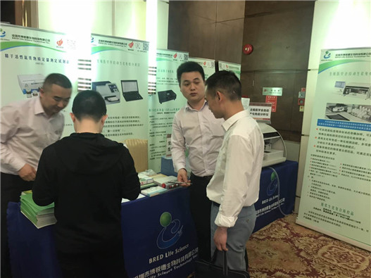 开云体云app官网入口