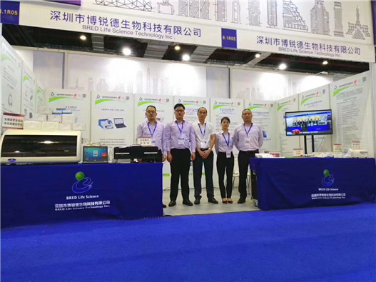 开云体云app官网入口