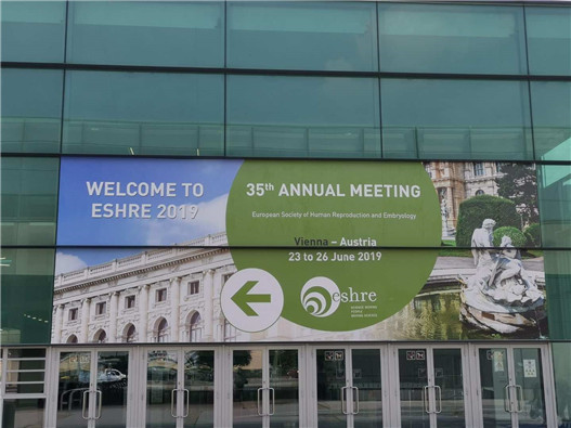 开云体云app官网入口