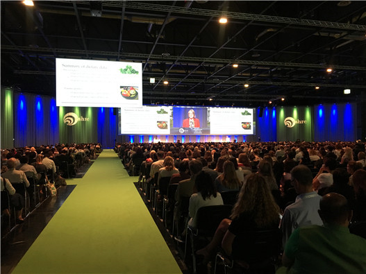 开云体云app官网入口