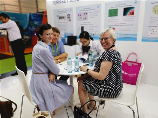 开云体云app官网入口