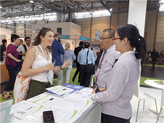 开云体云app官网入口