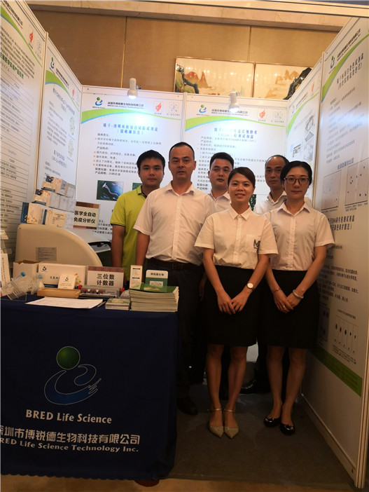 开云体云app官网入口