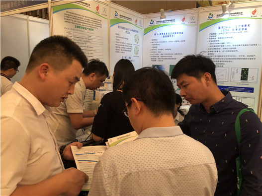 开云体云app官网入口