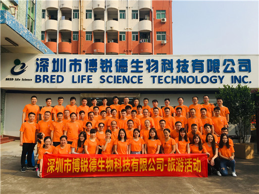 开云体云app官网入口