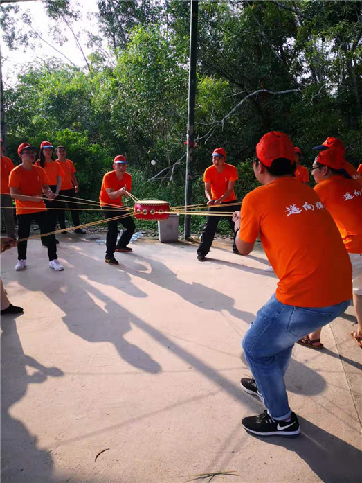 开云体云app官网入口