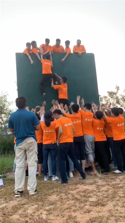 开云体云app官网入口