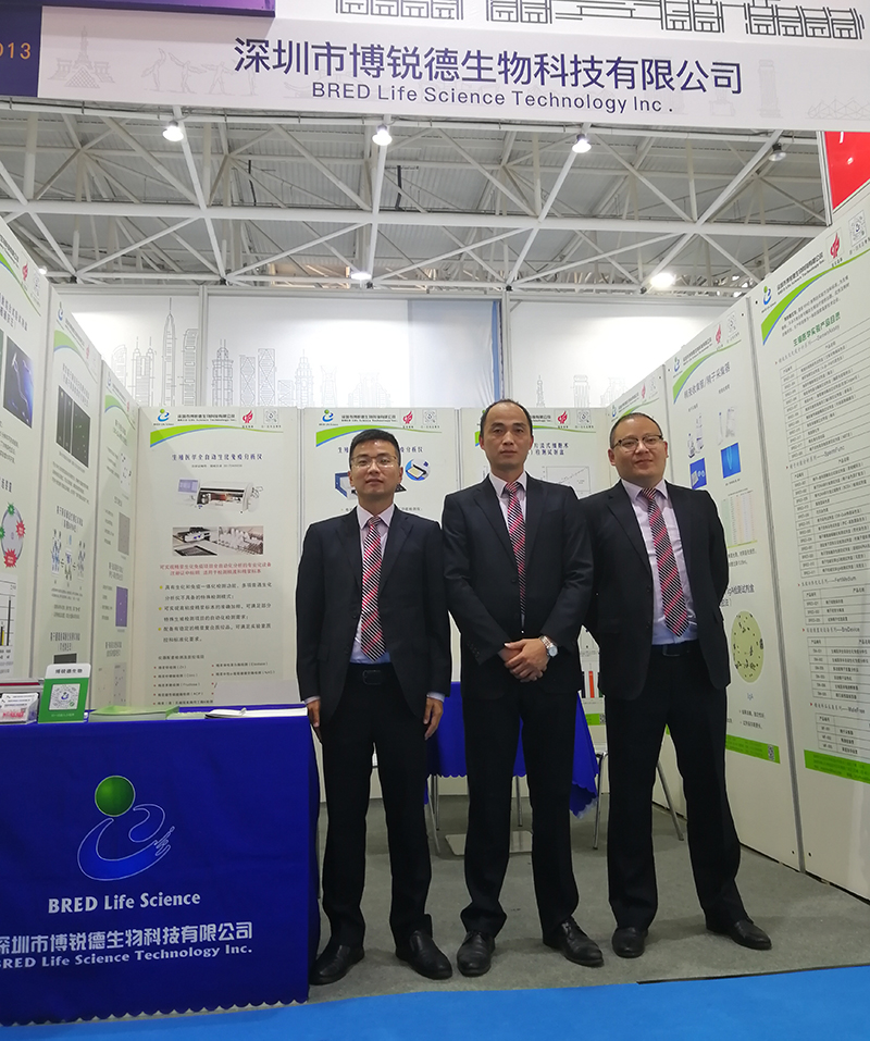 开云体云app官网入口