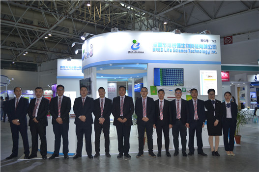 开云体云app官网入口