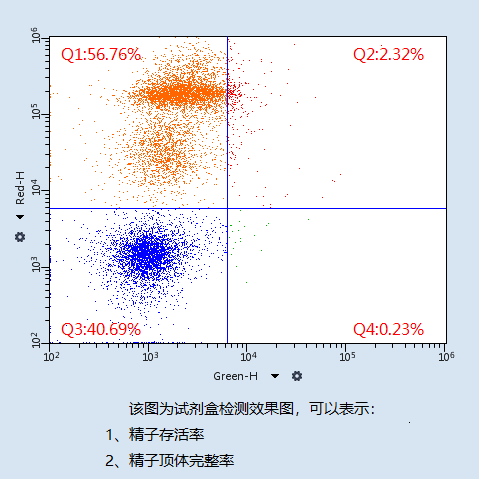开云体云app官网入口