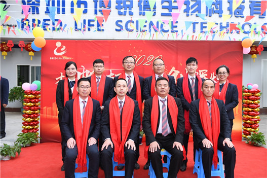 开云体云app官网入口