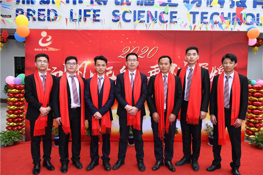 开云体云app官网入口