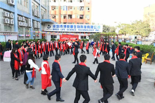 开云体云app官网入口