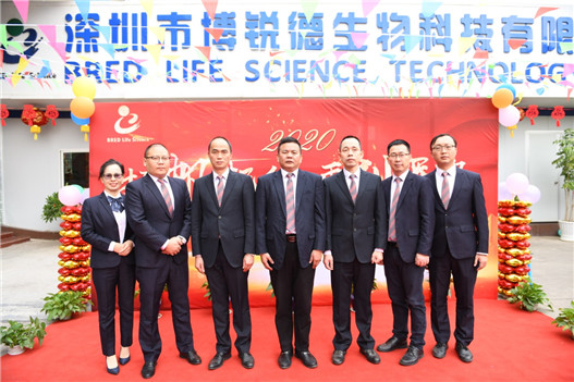 开云体云app官网入口