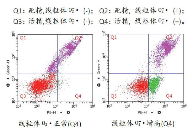 开云体云app官网入口