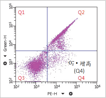 开云体云app官网入口