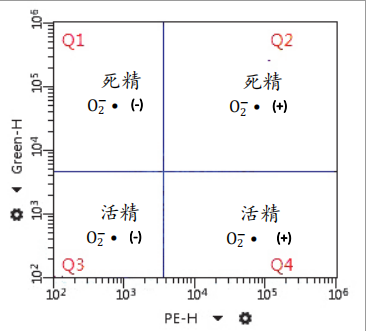 开云体云app官网入口