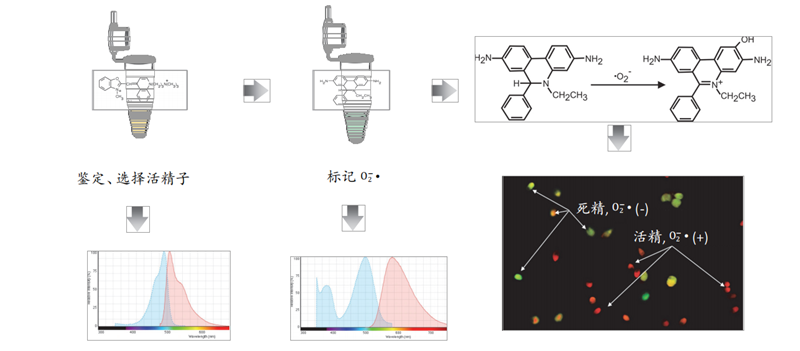 开云体云app官网入口
